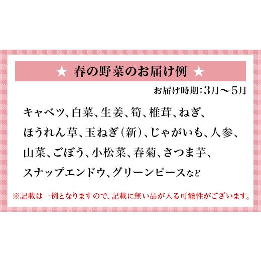 ふるさと納税 岡山県 井原市 旬の農産物（野菜・果物など）詰合せ