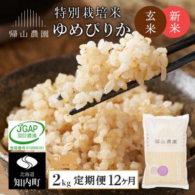 ふるさと納税 知内町 特別栽培米産地直送 玄米 ゆめぴりか 2kg×12回 《帰山農園》