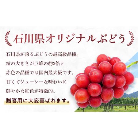 ふるさと納税 先行予約 JA金沢市 ルビーロマン 金沢市産 石川県金沢市