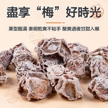【天然果乾】正宗話廣東九製話梅 青酸梅 特級蜜餞 酸甜鹹話梅 梅子 青梅 話梅乾 休閒零食 泡水話梅 水果乾