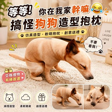 台灣出貨 搞怪狗狗造型抱枕 仿真狗狗玩偶 趣味蹲蹲犬毛絨娃娃 軟萌靠枕 沙發床上擺飾 創意交換禮物 生日禮物