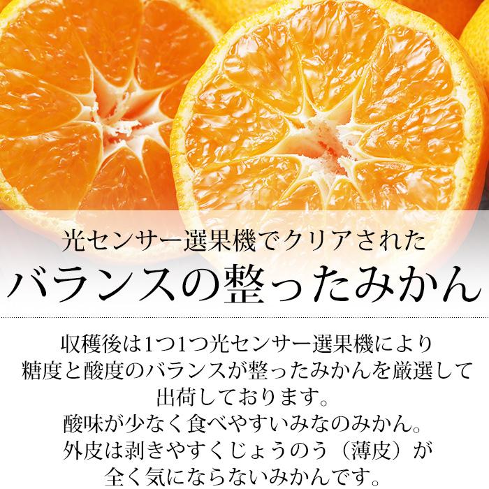 みかん 愛媛県産 みなの共選のみかん 特秀品 約5kg S〜Lサイズ 40〜60個