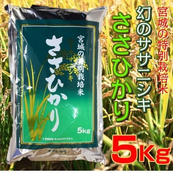 新米 お米 白米 精米 ささひかり 5kg 令和5年 宮城県産 幻のササニシキ