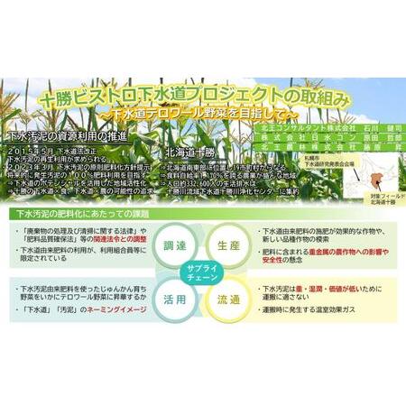 ふるさと納税 とうもろこし 恵味ゴールド 6本「じゅんかん育ち」北海道 十勝 幕別町 北海道幕別町