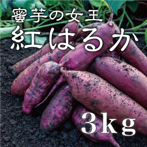 さつまいも 紅はるか 3kg （土付き・大小サイズ混在） 2023年産長期熟成 鹿児島県産 べにはるか