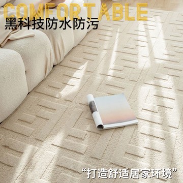 奶油意式輕奢客廳浮雕地毯抗菌防水防污臥室床邊毯免洗免打理高級