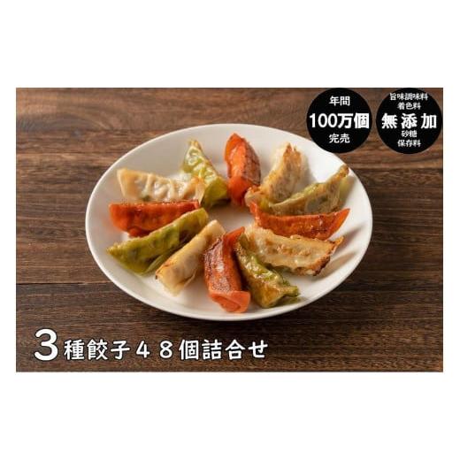 ふるさと納税 秋田県 秋田市 年間100万個完売！餃子の餃天