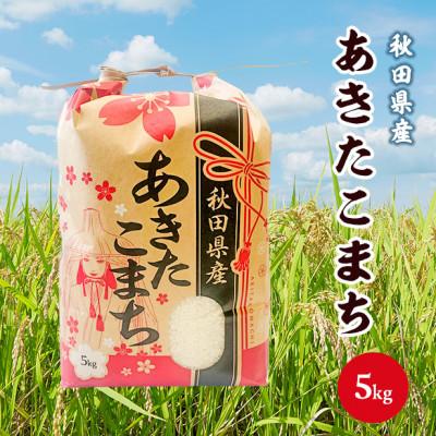 ふるさと納税 潟上市 令和5年産秋田県産あきたこまち一等米5kg