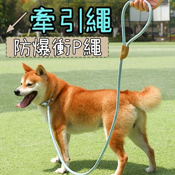牽引繩 寵物外出繩 寵物牽引繩 狗狗牽引繩 遛狗繩 遛貓繩 防暴沖P鏈 防掙脫 牽繩 超質感小中大型犬 狗狗牽繩