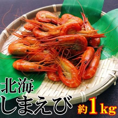 ふるさと納税 根室市 ★北海しまえび約1kg(約70〜90尾) B-95003