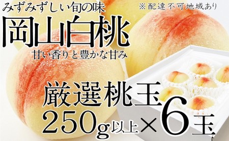 桃 2024年 先行予約 岡山の白桃 250g以上×6玉 白桃 旬 みずみずしい 晴れの国 おかやま 岡山県産 フルーツ王国 果物王国