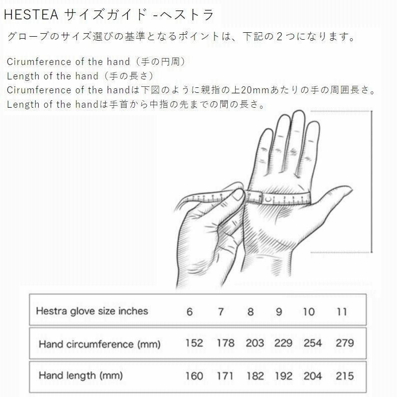 ヘストラ スキーグローブ HESTRA FALL LINE 3-FINGER 060 Almond