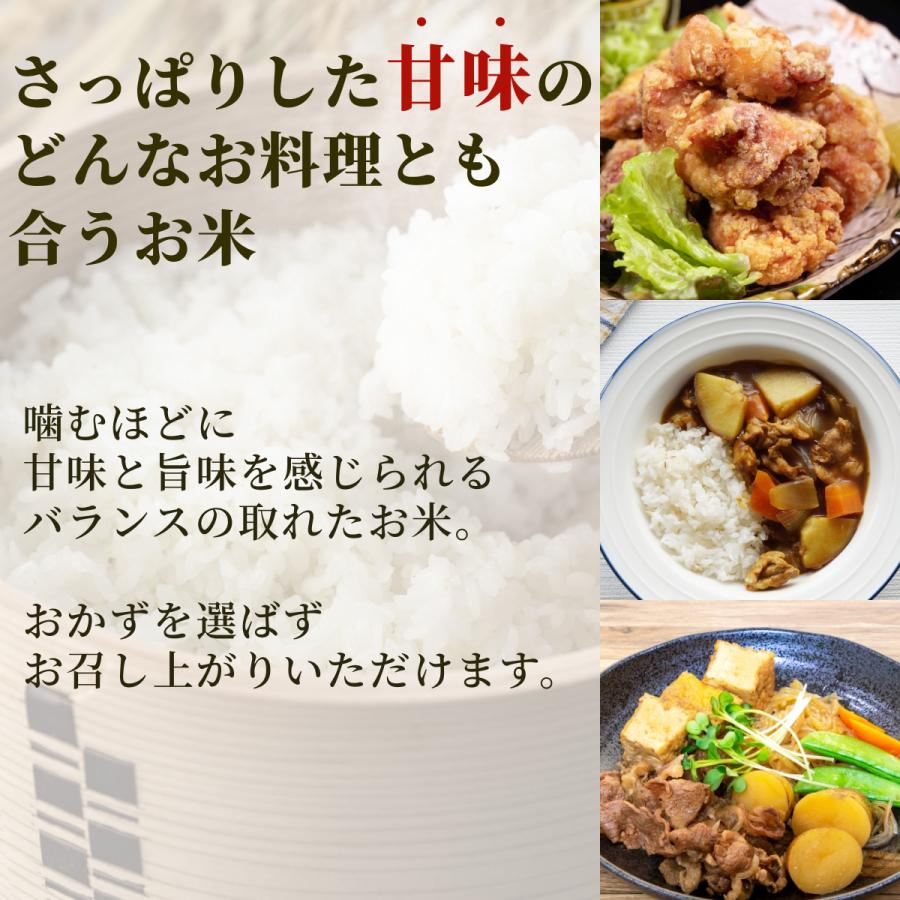  米 お米 2kg 長野県産 風さやか 令和5年産 真空パック 農家直送 白米 おこめ 精米  2キロ 国産