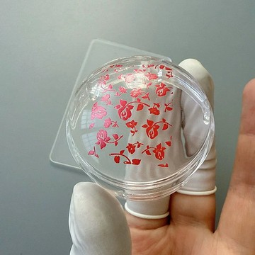 🎀台灣出貨🎀美甲轉印鋼板印章大尺寸4.1cm透明硅膠印花板工具