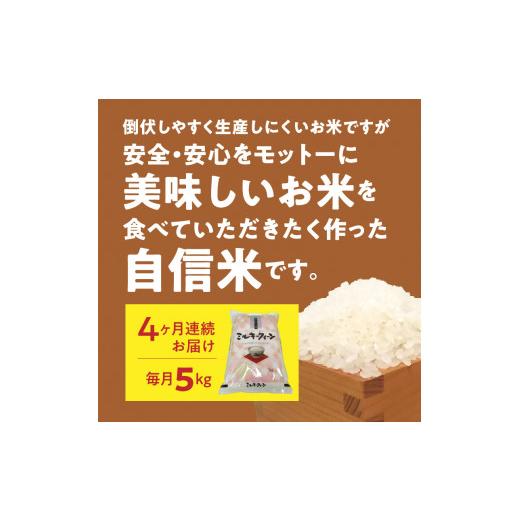 ふるさと納税 奈良県 生駒市 生駒産ミルキークイーン 精米済み 5kg 　令和５年産新米