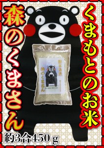 お米 米 450g 白米 送料無料 熊本県産 森のくまさん お試し米 約3合 新米 令和5年産 くまモン くまもとのお米 富田商店 とみた商店