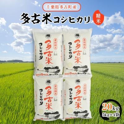 ふるさと納税 多古町 多古米コシヒカリ　精米20kg(5kg×4袋)