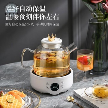 110v電熱水壺 燒水壺 110V美規多功能煮茶器玻璃養生壺辦公室全自動花茶壺家用煎藥壺 免運 可開發票 工廠直銷 售後保障 全館折扣 m5520