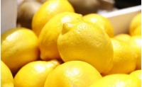 和歌山産レモン約5kg（サイズ混合）★2024年3月中旬頃より順次発送