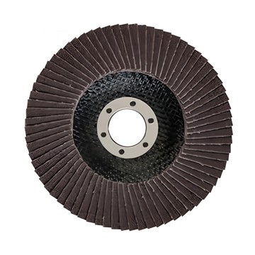 BOSCH 博世 台灣公司貨 100mm砂布輪 #80_2608601677  1入