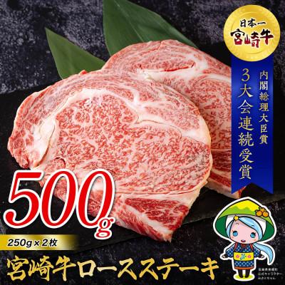 ふるさと納税 美郷町 宮崎牛 ロースステーキ 250g×2 合計500g(美郷町)