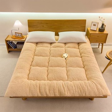廠家加厚羊羔絨床墊榻榻米防滑墊子加厚保暖床褥單雙人羊羔絨床墊