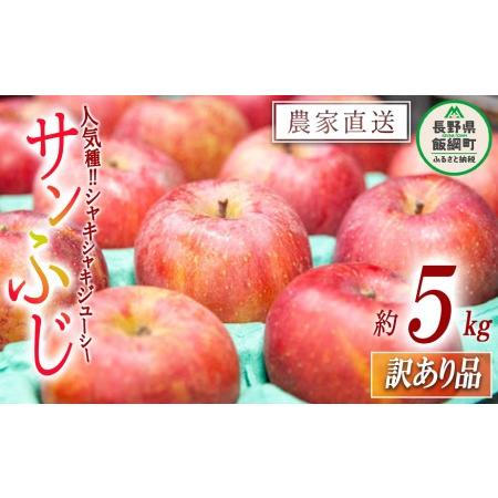 ふるさと納税 りんご サンふじ 訳あり 5kg 永野農園 沖縄県への配送不可 2023年12月上旬頃から2024年2月上旬頃まで順次発送予定 令和5年度収穫分.. 長野県飯綱町