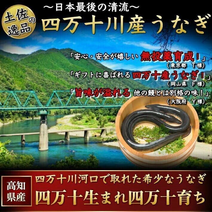 四万十 うなぎ 蒲焼き 国産 特大4尾 無投薬 四万十川 誕生日 ギフト 高知県産