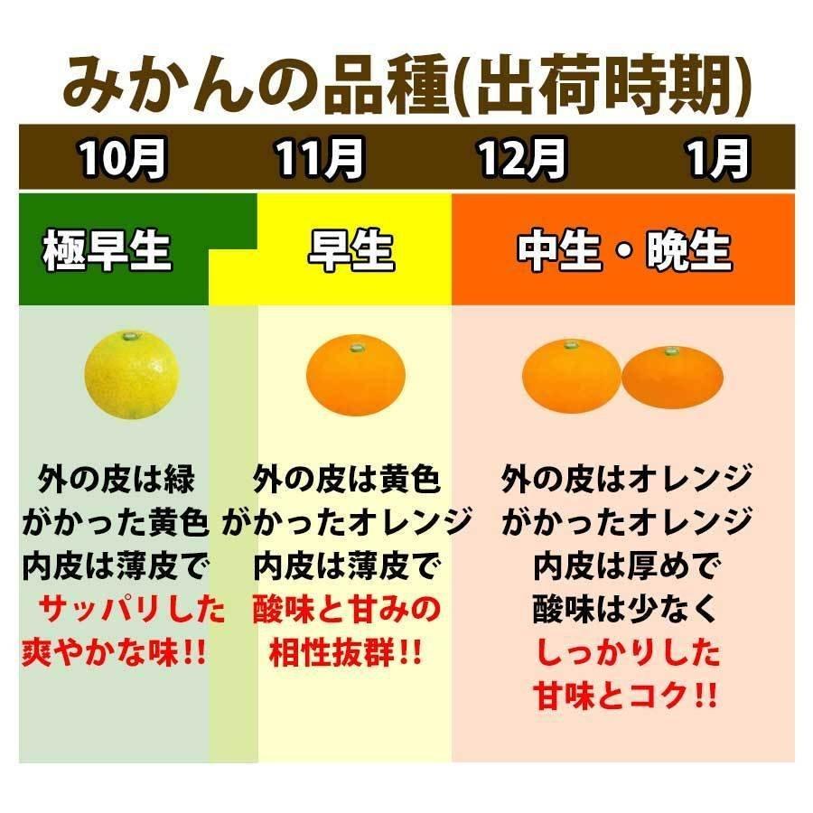 みかん 2kg~10kg 訳あり ブランド 和歌山 有田みかん ありだみかん 農家直送 ギフト お歳暮 温州みかん フルーツ 果物