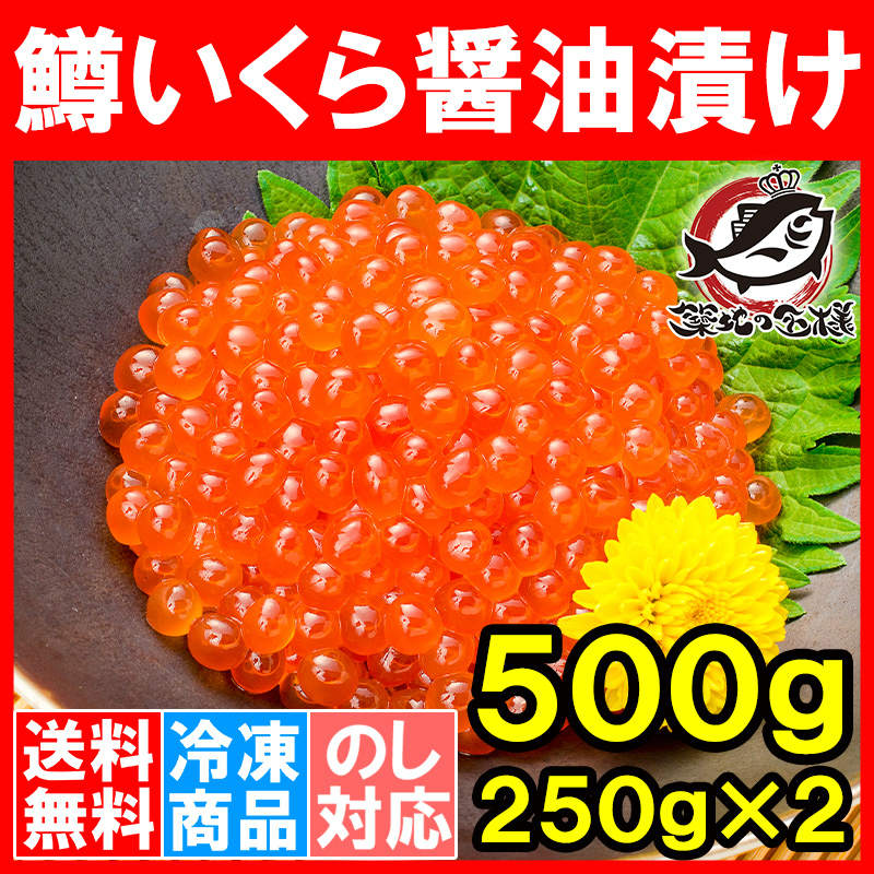 送料無料 イクラ醤油漬け合計500g 250g×2 北海道製造 鱒いくら 鮭鱒いくら