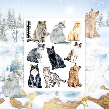 第 21 個主題，動物