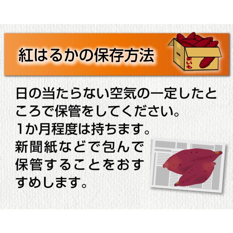 さつまいも 紅はるか A品 生芋 Sサイズ80g〜130ｇ土つき 鹿児島 産地直送 3kg×1箱 送料無料 S常