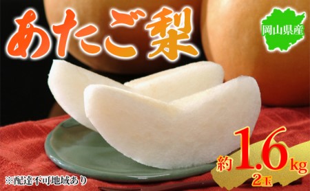 梨 2023年先行予約 岡山県産 あたご梨 約1.6kg 2玉 お届け 2023年11月下旬～2023年12月中旬