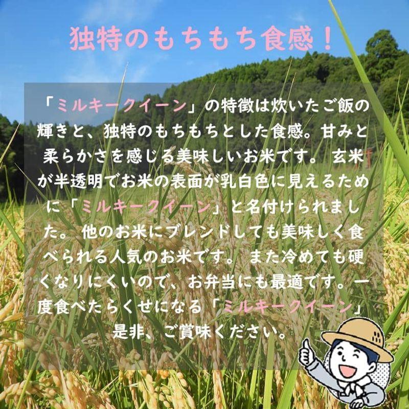 精米 千葉県産 白米 ミルキークイーン 10? 令和4年産 (5kg×2)