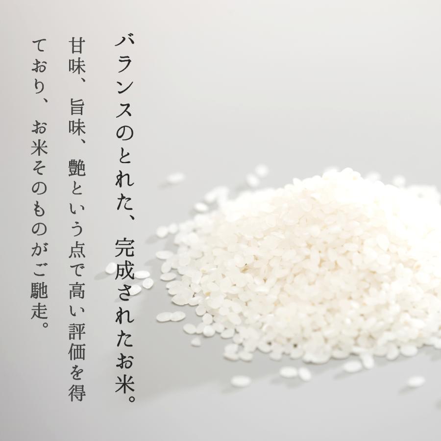 米 お米 5kg つや姫 白米 玄米 山形県産 送料無料 新米 令和5年