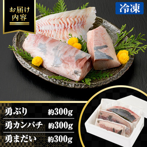 勇進水産　お刺身豪華3点セット約900g_yushin-969