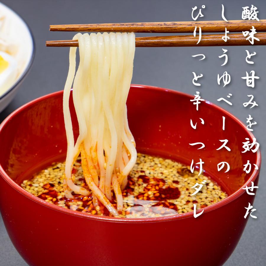 広島つけ麺 辛旨 ２食入 ３袋セット コシが強く歯触りの良い生麺 （袋タイプ） 送料込み ご当地ラーメン マルバヤシ