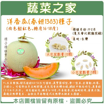 【蔬菜之家】洋香瓜(春妍1303)種子(肉色鮭紅色，糖度16-18度) (共2種包裝可選)