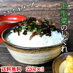 壬生菜のしぐれ220g×3パック   みぶな みぶ菜のしぐれ 壬生菜佃煮 京の野菜 京都手土産 お