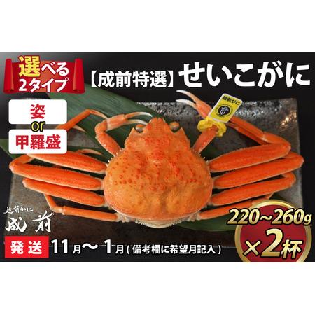 ふるさと納税 美味しさ直送！ せいこがに（220g〜260g）×2杯.. 福井県福井市