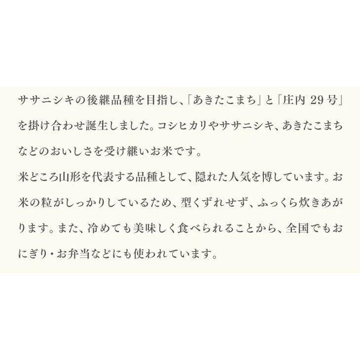 山形県産 はえぬき 無洗米 5kg