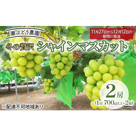 ふるさと納税 ぶどう 2024年 先行予約 冬の贅沢 シャインマスカット 2房(1.4kg以上)【11月27日から12月12日の期間に.. 岡山県里庄町