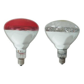 PHILIPS 250W 220V E27 紅外線燈泡  溫熱燈泡 保溫燈泡(紅面) 醫院備品