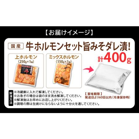 ふるさと納税 国産 牛ホルモン セット 計400g（上ホルモン・ミックスホルモン 各1袋） 旨みそダレ漬け！ 【 冷凍 お手軽 小分け BBQ バーベキュ.. 福井県越前町