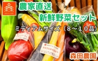 農家直送新鮮野菜セット（ミディアム）８～１０品