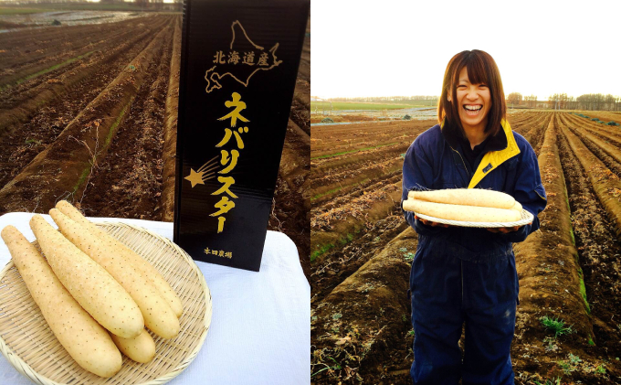 十勝幕別町産〈長芋の新品種〉ネバリスター5kg L～3Lサイズ［本田農場］