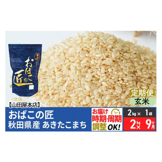 ふるさと納税 秋田県 美郷町 《定期便9ヶ月》令和5年産 おばこの匠 秋田県産あきたこまち 2kg×9回 計18kg 9か月 9ヵ月 9カ月 9ケ月 秋田こまち お米