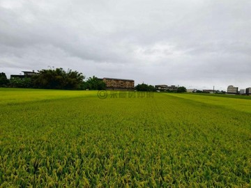 宜蘭高鐵振興三段範圍內投資美農地｜宜蘭縣宜蘭市振興三段