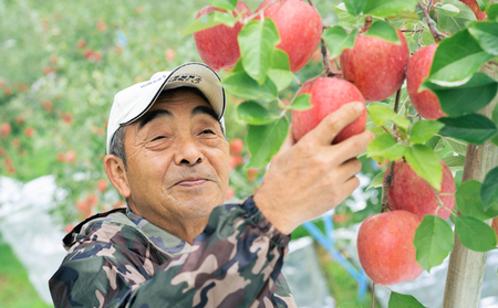 年明け 贈答規格 広船のサンふじ 約5kg・特A16～20玉 