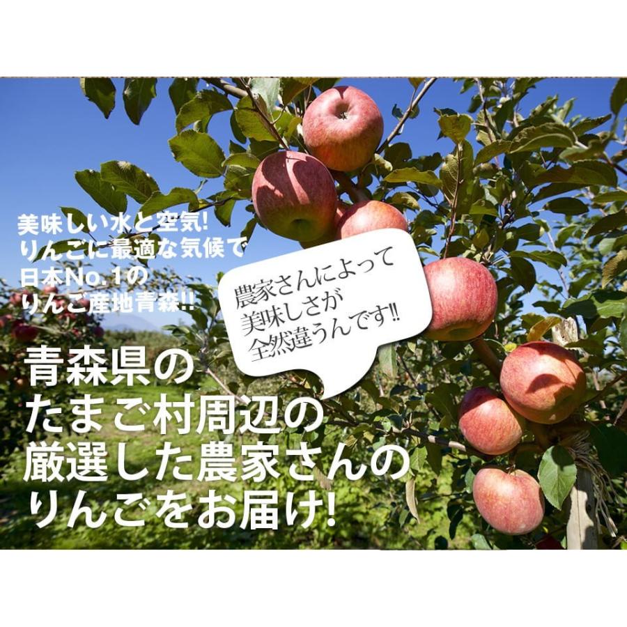 りんご 青森産 訳あり サンふじ 約6.5kg(20から25玉前後) 味の濃い リンゴ 産地直送 送料無料